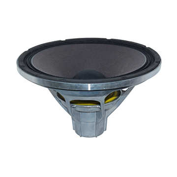 12 inch neodymium speaker pro audio speaker WLR12YB